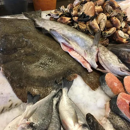 Cozy Beachfront Semesterbostad