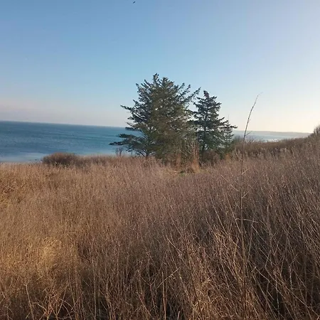 Cozy Beachfront *