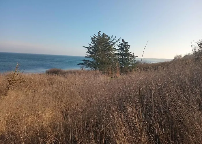 Cozy Beachfront Semesterbostad